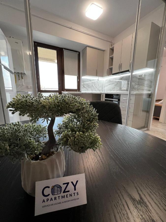Cozy Apartments - City Center Iasi Bagian luar foto